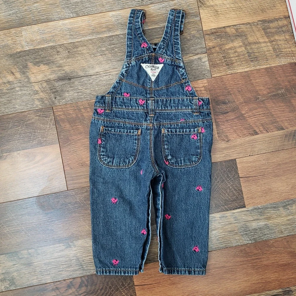 Oshkosh B'gosh Blue Jean Overalls With Pink Embroidered Birds, Size 9 Months